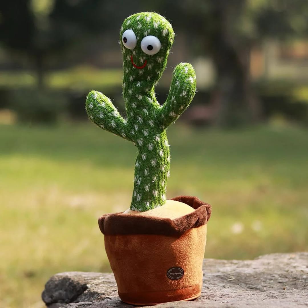 Dancing Cactus